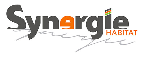 Logo Synergie JPEG HD